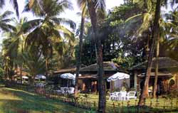 Taj Holiday Village -   , 
