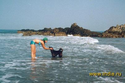На пляже в деревне Вагатор (Гоа): даже собаки любят купаться 