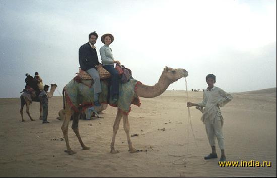 Camel riding in the desert near Jaisalmer 