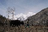 В Гималаях